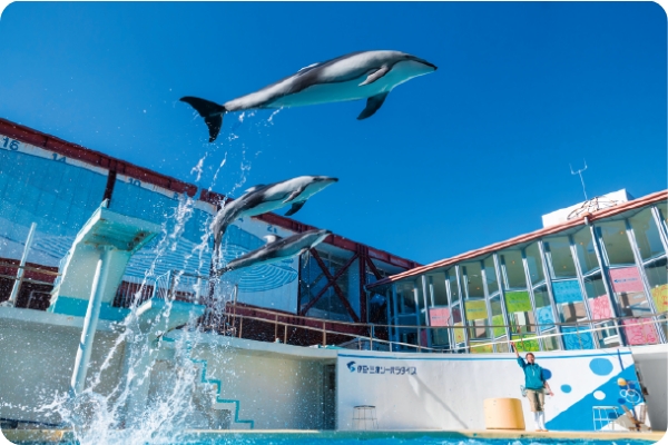 伊豆・三津シーパラダイス