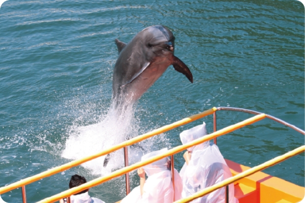 下田海中水族館