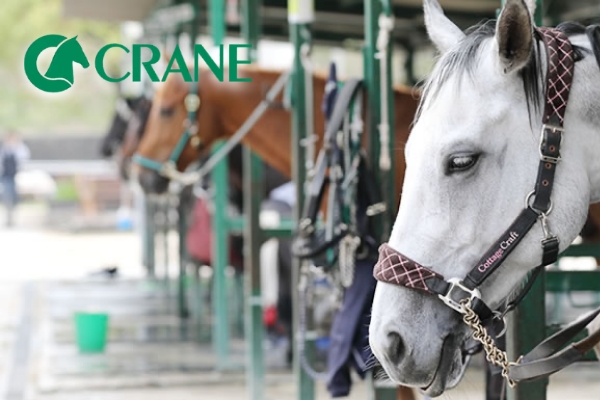 乗馬クラブクレイン