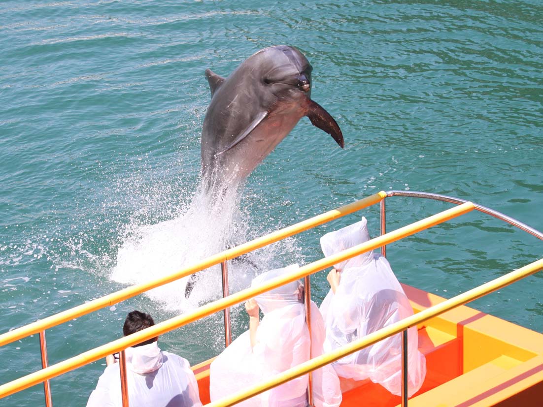 下田海中水族館